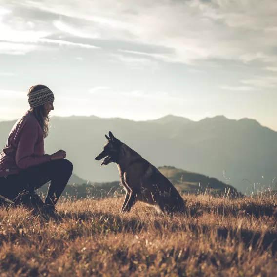 hundewanderung-©JNJPhoto