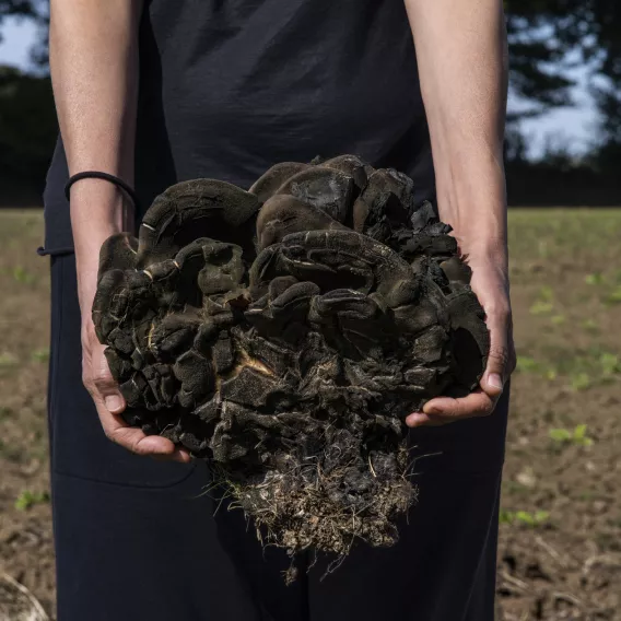 Kampagne_Premiere_Manuela_Marques_Porteuse _2022_Pigmentdruck _auf_Barytpapier-Courtesy_Galerie_Anne_Barrault