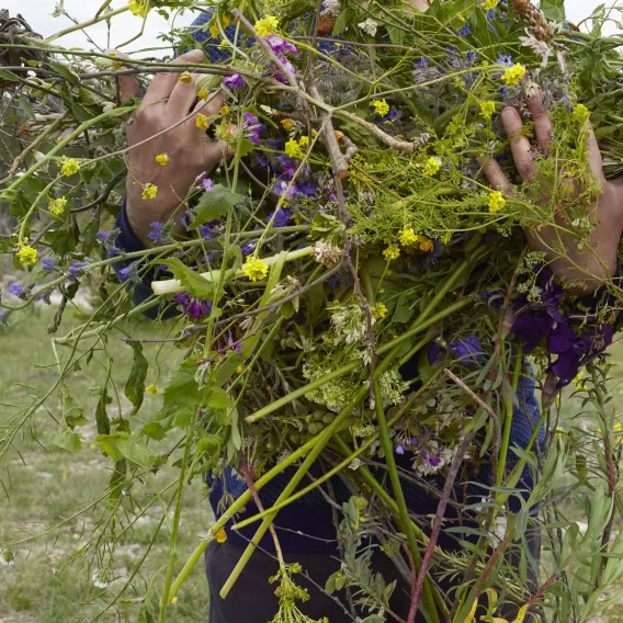 ampagne_Premiere_Manuela_Marques_la_brassee_2017_pigmentärer_Druck_auf_Barytpapier-Courtesy_Galerie_Anne_Barrault