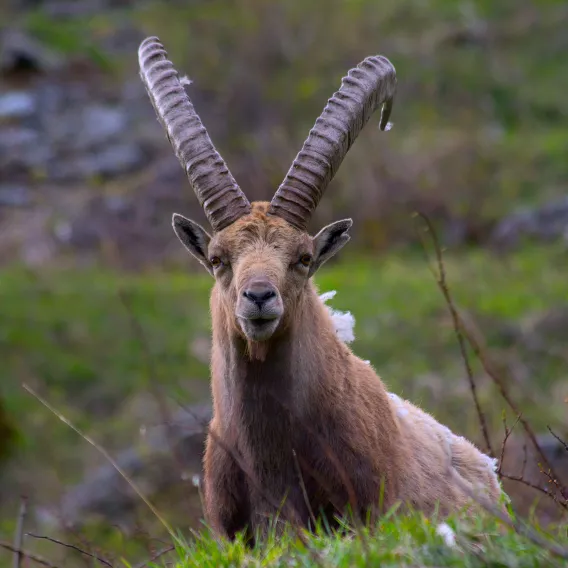 Coup coeur public_Mme Marine VILLARD