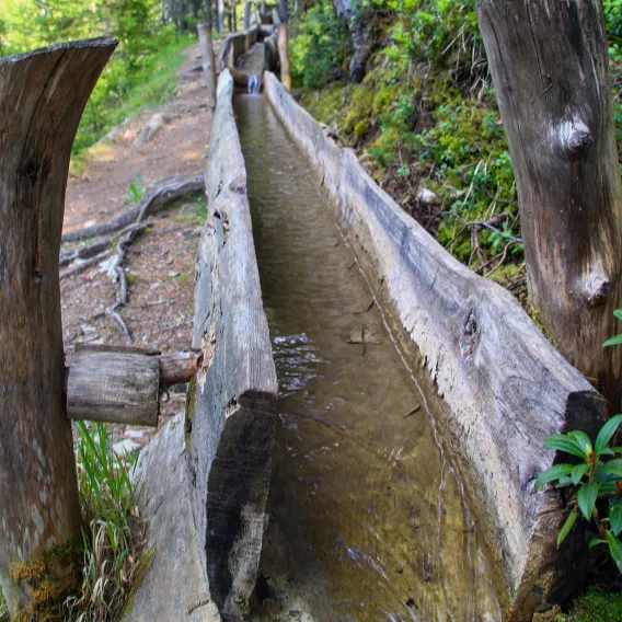 Frischer Pfad des bief bovet in La Plagne Montalbert