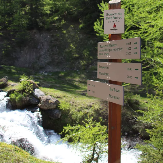 Tafel des Pfades "Bief Bovet" Plagne Montalbert