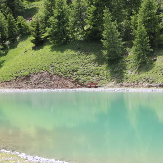 Spaziergang am grünen See