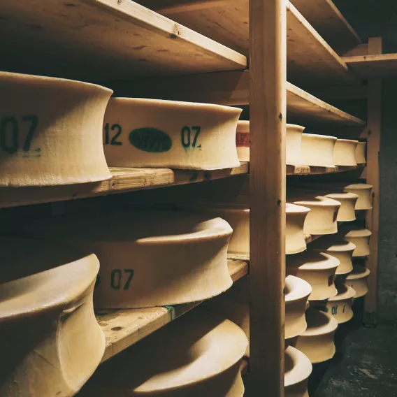 Beaufort aus Savoyen