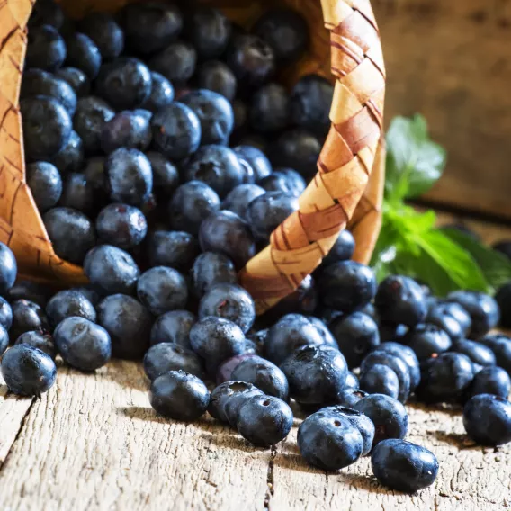 Korb mit Blaubeeren