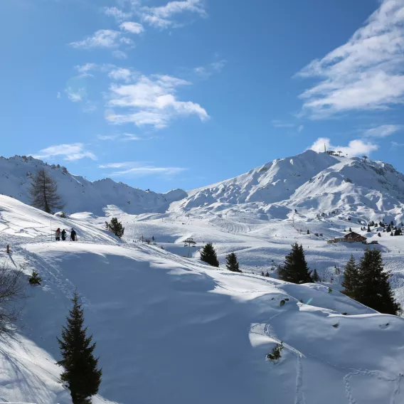 Schneespaziergang in La Plagne