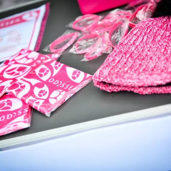 Verkäufe zu Gunsten von Gustave Roussy in La Plagne