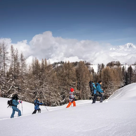 Schneeschuh-Familie Fornelet