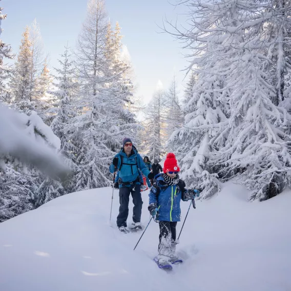 Familie Schneeschuh Wald