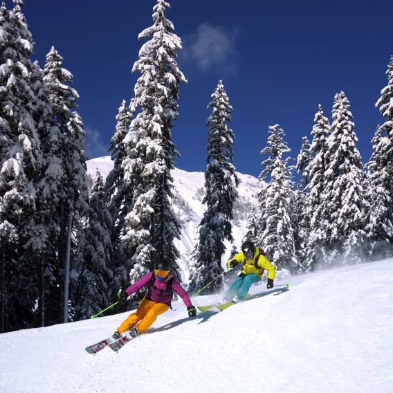 Skifahrer auf dem Mont de la Guerre in La Plagne