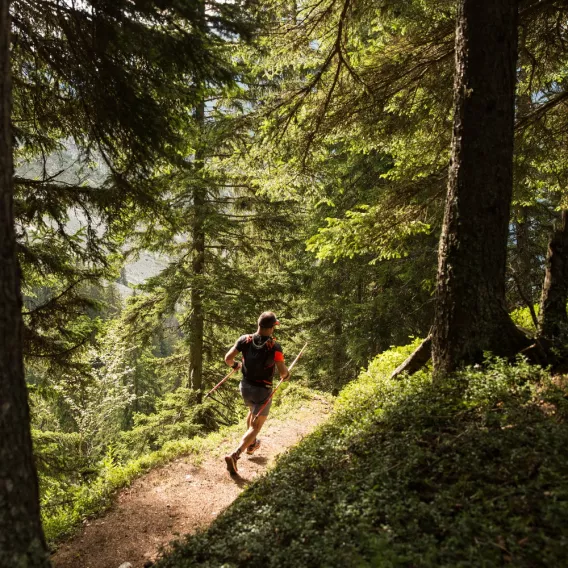 Trails Alpins du Grand Bec