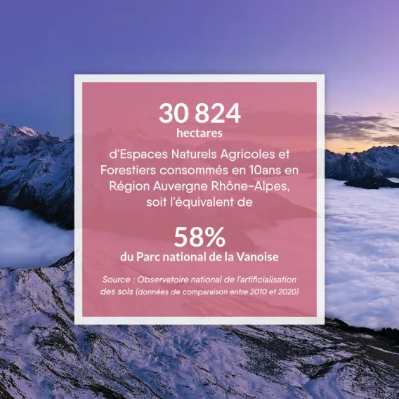 Schlüsselinfo - die ZAN