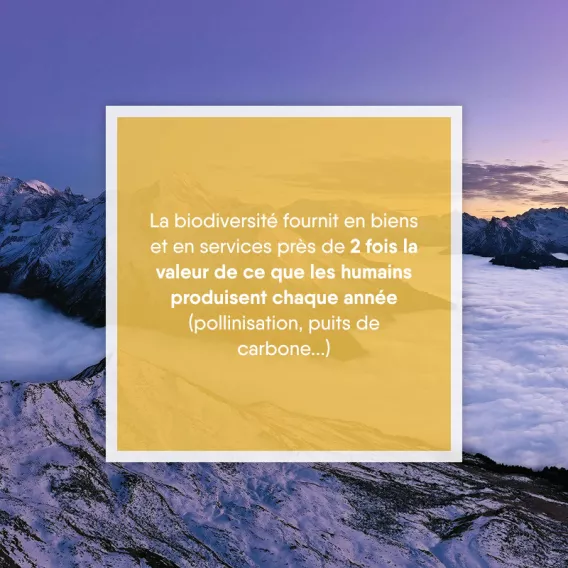 Güter und Dienstleistungen, die von der biologischen Vielfalt bereitgestellt werden