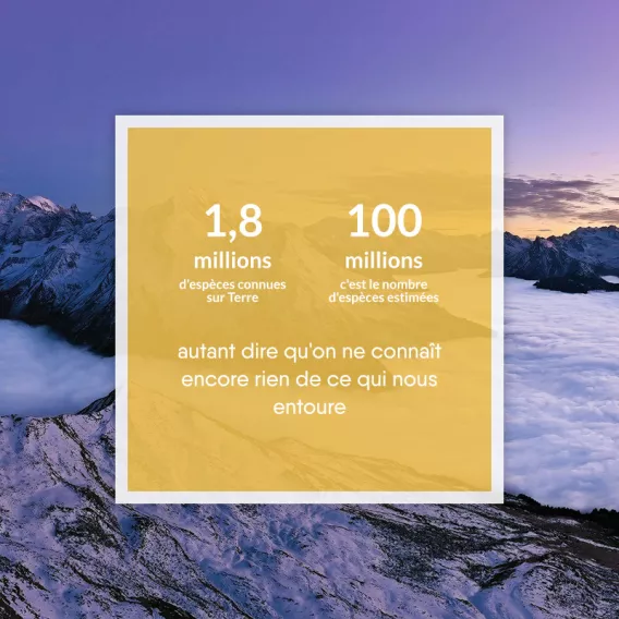 Schlüsselinfo - Biodiversität