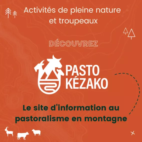 Pasto Kézako?