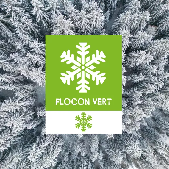 push-flocon-grün