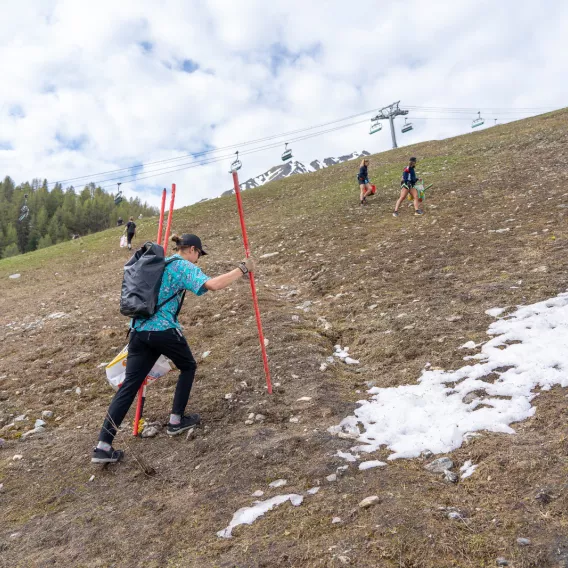 Müllabfuhr La Plagne