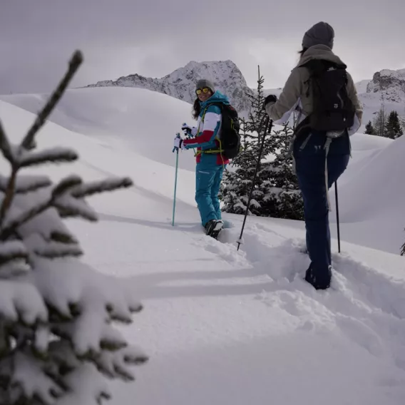 Schneeschuhwanderungen in La Plagne