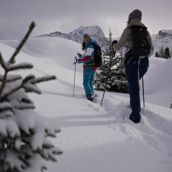 Schneeschuhwanderungen in La Plagne