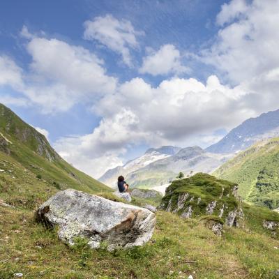 Welche Tiere kann man im Nationalpark Vanoise beobachten?