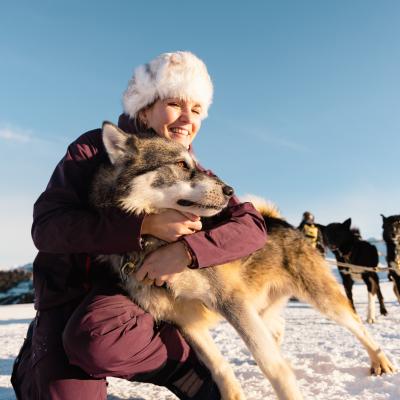 3 Missverständnisse über nordische Hunde, die Könige der gezogenen Sportarten
