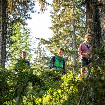 Wandern im Wald: 5 gute Praktiken, die Sie an Ihre Kinder weitergeben sollten