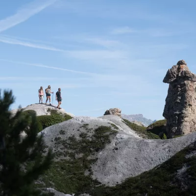 Der Zimbelwald auf Gips, ein Wunder der Natur