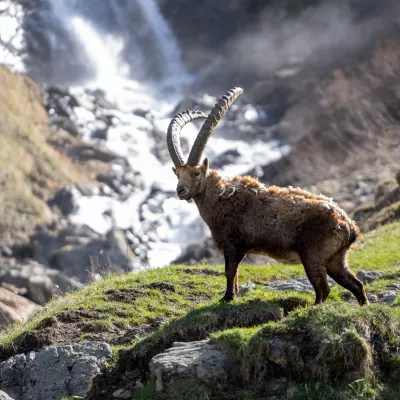 Fotowettbewerb in Champagny
