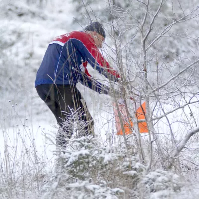 Orientierungslauf im Winter