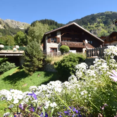 Apartments &amp; Chalets