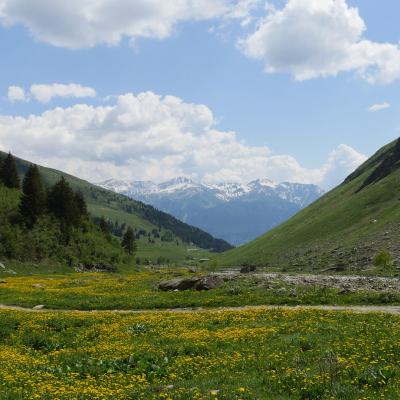 Lebe mein Leben als Schäferin
