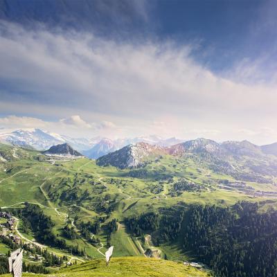 Unsere Hintergrundbilder, um Ihren Sommer zu verlängern