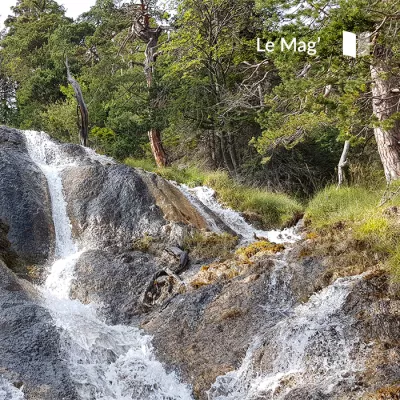 BACK TO BASICS: Wildes Eintauchen