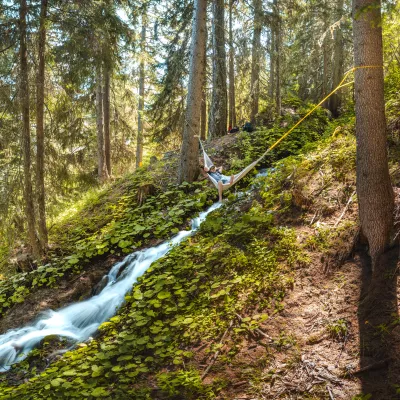 Der große Nervenkitzel: Frische Aktivitäten