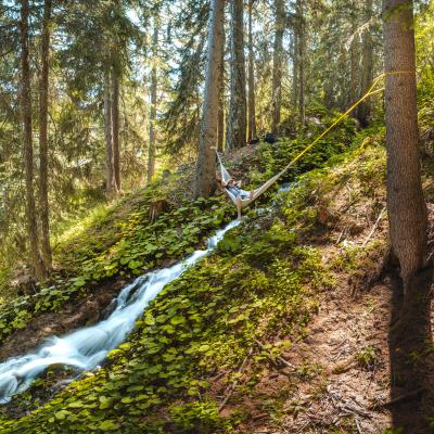 Der große Nervenkitzel: Frische Aktivitäten