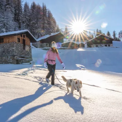 Skifahren in La Plagne mit meinem Hund