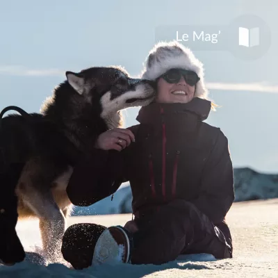3 Missverständnisse über nordische Hunde