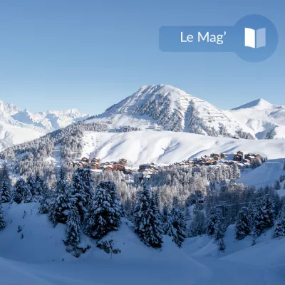 Das ist Trend: Skiurlaub