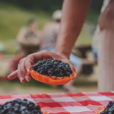 Märkte | Flohmärkte