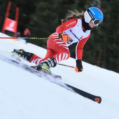 Telemark