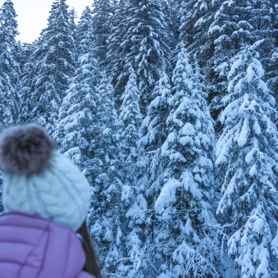 Broschüren, Leitfäden, Pläne und Programme
