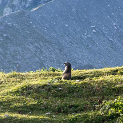 Broschüren von La Plagne vallée