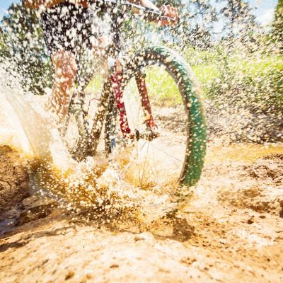 MTB- &amp; MTB-AE-Schulen
