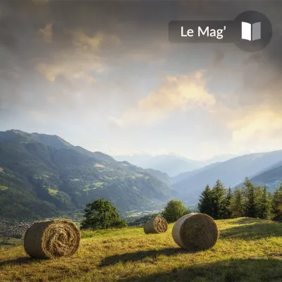 Unsere "Top Spots" im Herbst