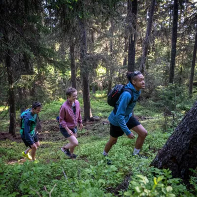 Balade en forêt