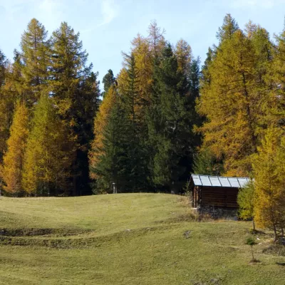 Plateau de Plan Bois