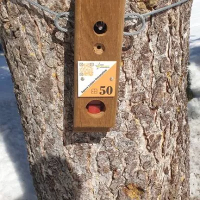 Parcours d'orientation