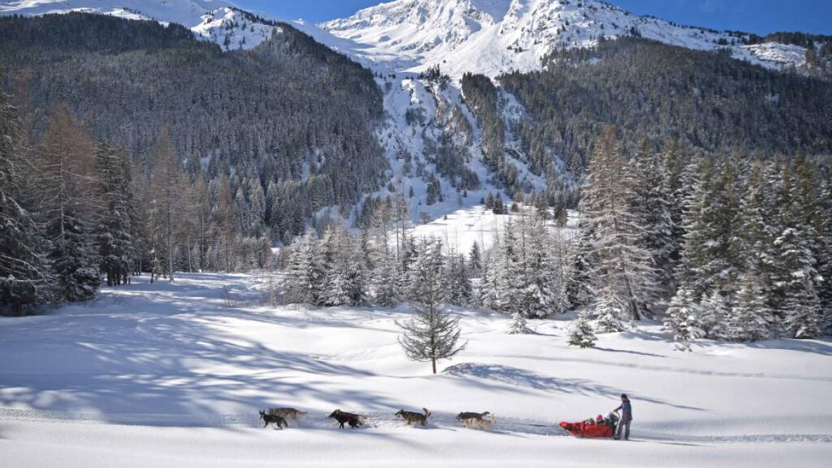 Generation Musher - Hundeschlittenfahren