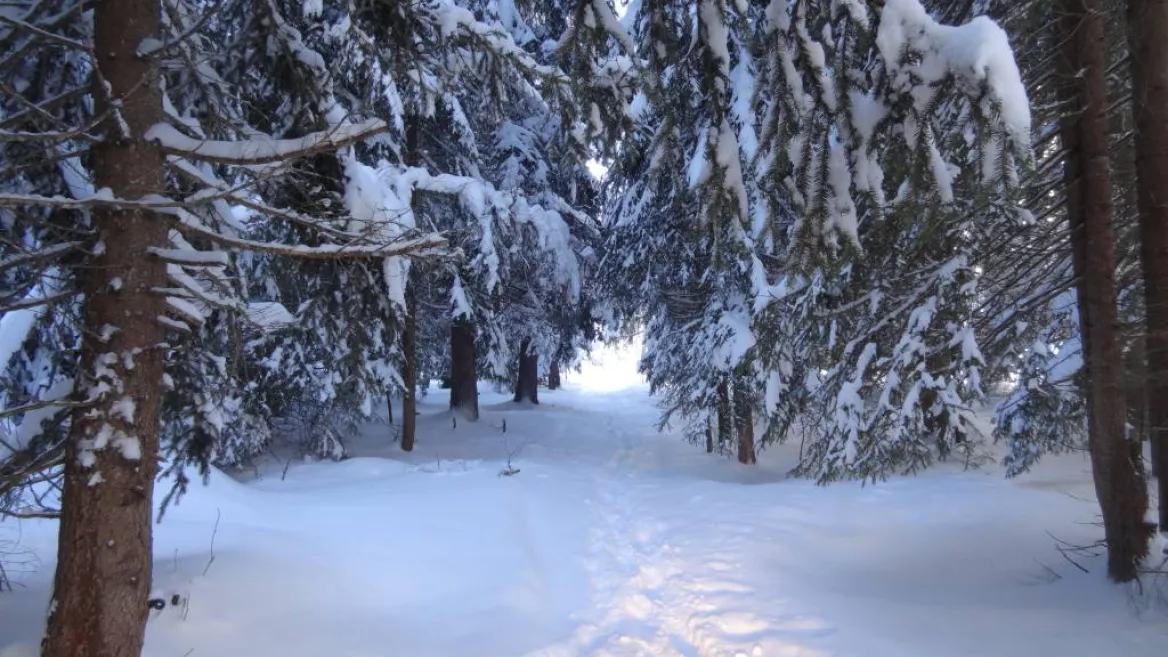 Schneeschuhroute Comba Damon