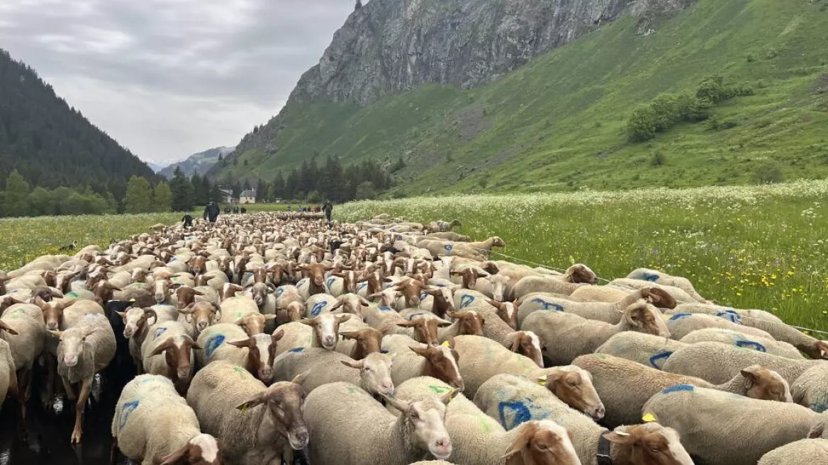 Fête de l'emmontagnée_Champagny-en-Vanoise